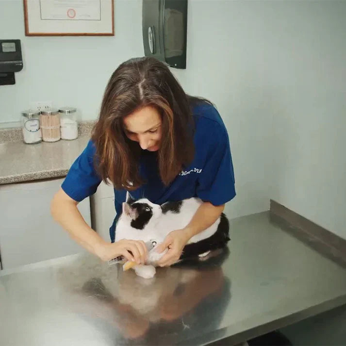 LED Pet Nail Clipper – Safe, Precise, and Stress-Free Grooming Tool