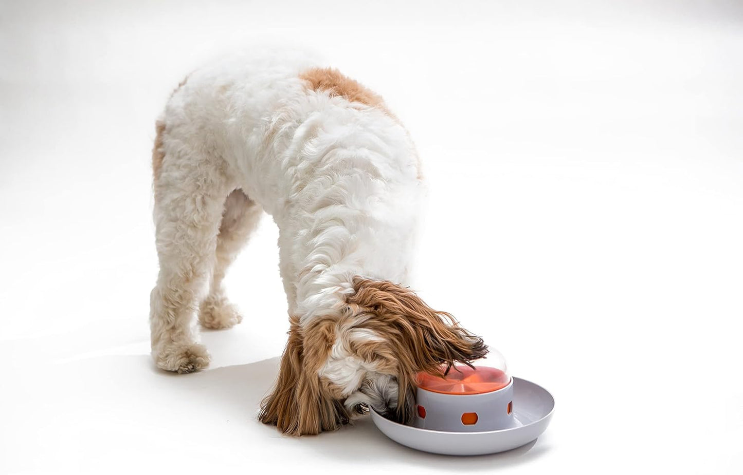 Interactive Slow Feeder Bowl for Dogs – Fun, Engaging, and Promotes Healthy Eating