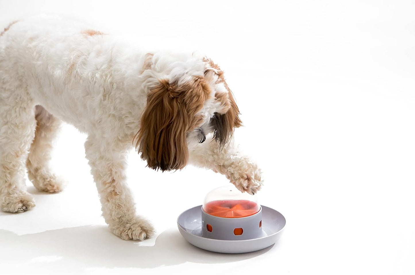 Interactive Slow Feeder Bowl for Dogs – Fun, Engaging, and Promotes Healthy Eating