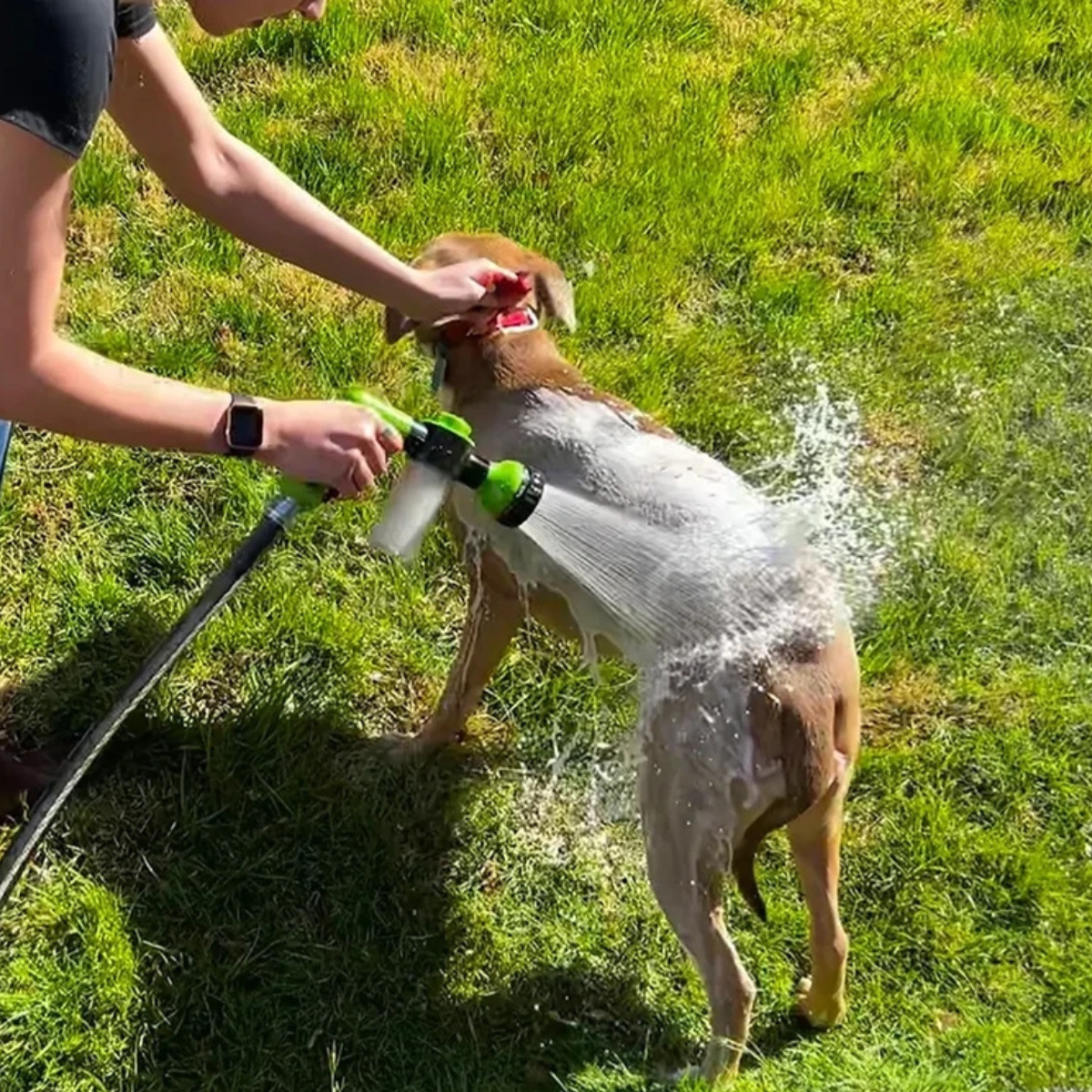Multi-Function Pet Bathing Sprayer – High-Pressure Hose Nozzle with Soap Dispenser for Easy Dog Washing
