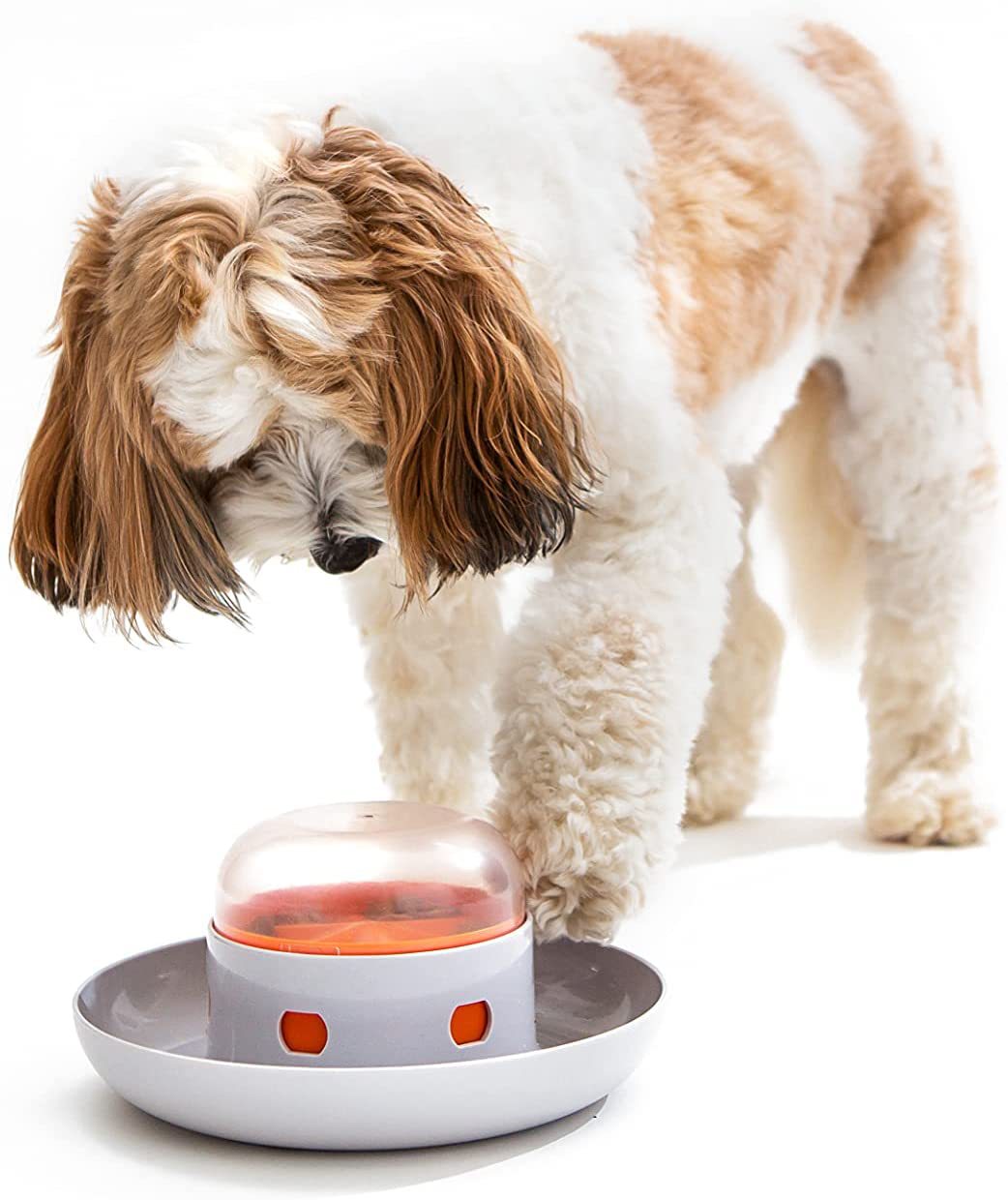 Interactive Slow Feeder Bowl for Dogs – Fun, Engaging, and Promotes Healthy Eating
