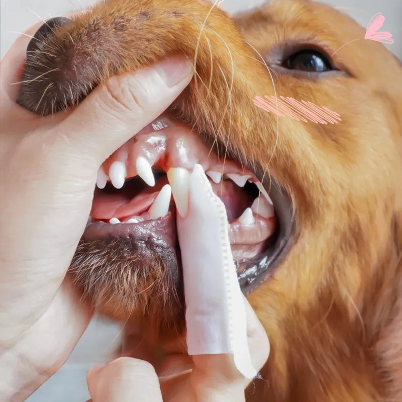 Pet Teeth Cleaning Finger Wipes – Convenient Oral Care for Dogs and Cats