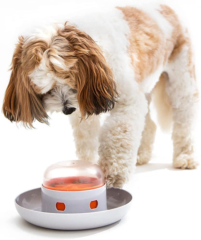 Interactive Slow Feeder Bowl for Dogs – Fun, Engaging, and Promotes Healthy Eating